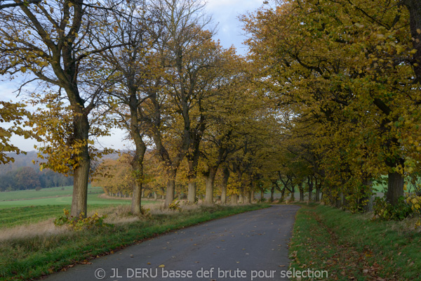 paysage automne